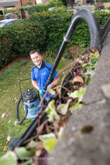 Gecko get commercial website images