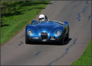 Jaguar at Loton park