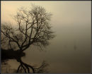 Windermere