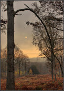 Wyre forest