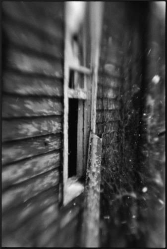 Window Winter