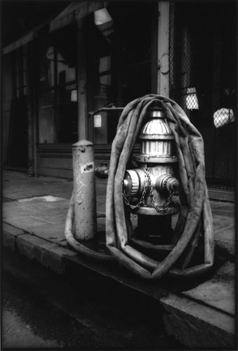 Wrapped Hydrant 2004