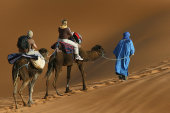 Camel trek
