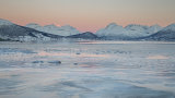 Arctic Dawn