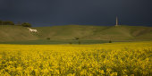 Stormy sky, Cherhill Down