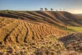 Downland