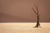 Deadvlei