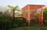 Creating a Downland Garden