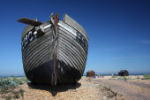 Dungeness
