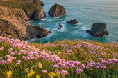 Bedruthan Steps