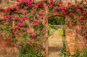 Walled Garden, Bowood