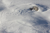 Rock in snow