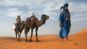 Camel trek
