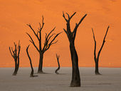 Deadvlei