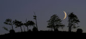Crescent moon, Cherhill Down