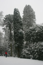 Stourhead in winter