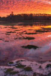 River Kennet flooded