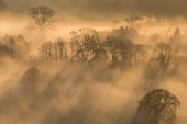 Mist in Vale of Pewsey