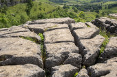 Limestone pavement