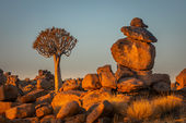 Namibia Photography Tour 2019
