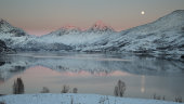 Snow Moon, Oks Fjord