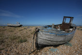 Dungeness
