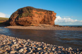 Otter estuary