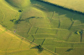 Prehistoric Field System, Pertwood Down