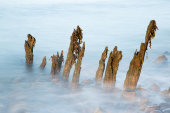 Failed groynes, Porlock Weir