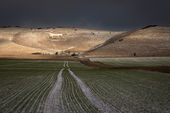 Alton Barnes white horse