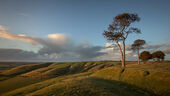 Roundway Down