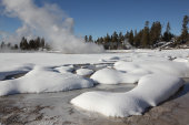 Fountain Paintpots