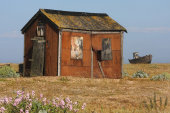 Dungeness