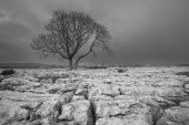 Limestone pavement