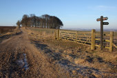 The Ridgeway, Hackpen Hill