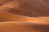 Namib Dune