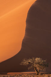 Sand dune at Sunrise