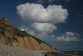 Undercliff, Axmouth
