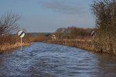 Flooded road, Muchelney