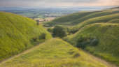 Coombes, Roundway Down