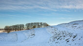 Strip lynchets, Bishopstone