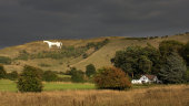 Westbury White Horse