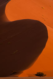 Sand dune at Sunset