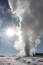 Old Faithful