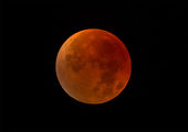 Totally Eclipsed Moon