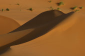 Sahara Sand dunes