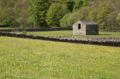Muker Meadows