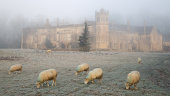Lacock Abbey in mist