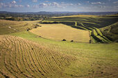 Aucombe Bottom, Mere Down