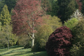 Stourhead in Spring